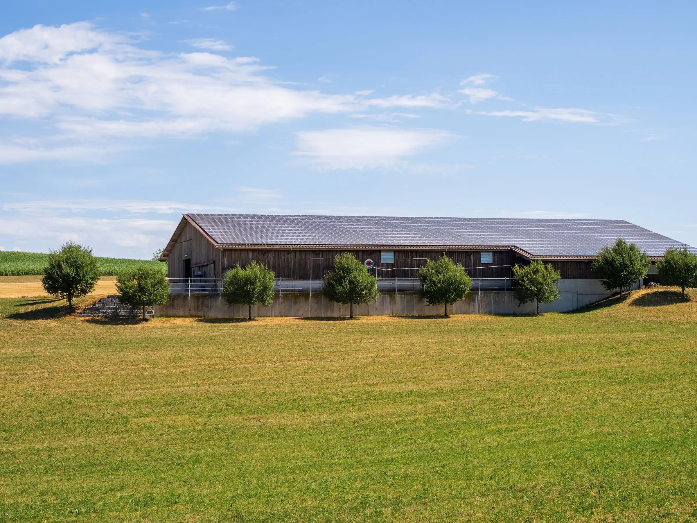 Farm shed with its whole roof covered in solar panels, beside green pasture